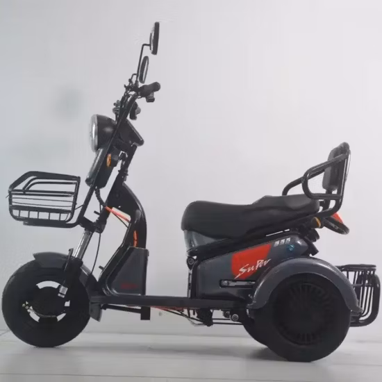 Electric Trike Cargo Tricycle with Brushless Hub Motor