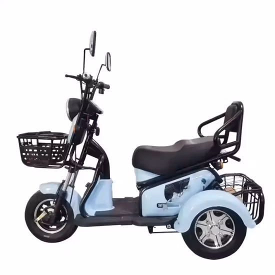 Electric Trike Cargo Tricycle with Brushless Hub Motor