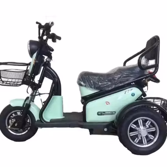 Electric Trike Cargo Tricycle with Brushless Hub Motor