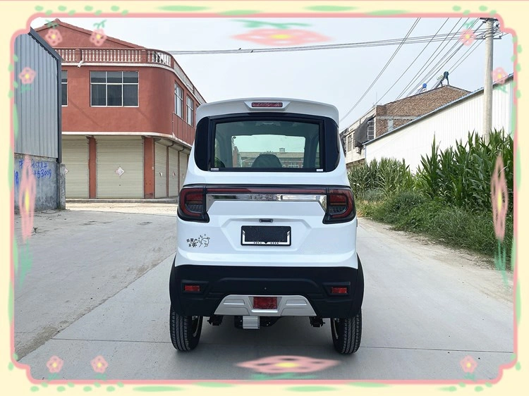 Three Wheel Electric Vehicle Used for Carrying People and Cargo